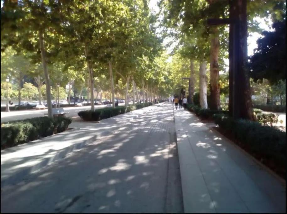 Hogar Del Lirio Apartment กรานาดา ภายนอก รูปภาพ